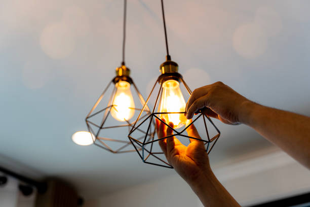 Best Electric Panel Repair  in Elko New Market, MN